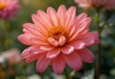 Maximize Real Estate Growing Vegetable Patches and Flower Beds